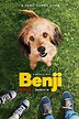 Benji (2018) - Posters — The Movie Database (TMDB)