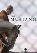 The Mustang - película: Ver online completa en español