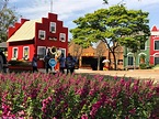 Holambra: 5 razões para visitar a Capital das Flores - InterAtiva Viagens