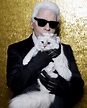 FOTOS: "Choupette", la millonaria gata que hizo de Karl Lagerfeld "una ...