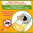 ¿Cuáles son los síntomas de dengue? – eju.tv