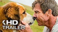 Hunde: Die 25 besten Filme • Filmpuls