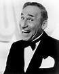 Mel Brooks - Mel Brooks Photo (17275319) - Fanpop