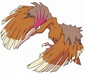 Fearow HD Wallpapers - Wallpaper Cave