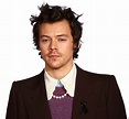 Harry Styles PNG High Quality Image - PNG All | PNG All