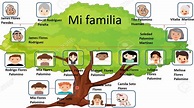 Primaria 2do Semana 5 – Personal Social – El árbol genealógico familiar ...