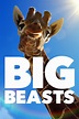 Big Beasts (2023) | The Poster Database (TPDb)