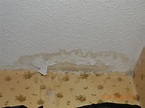 Alarming Wall Water Damage: Look For These 3 Crucial Signs!