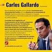Es falso que Carlos Gallardo Torres sea parte del equipo técnico de ...