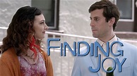 Finding Joy (2013) — The Movie Database (TMDB)