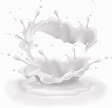 Milk Splash PNG Clipart Background - PNG Play