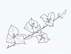 Bougainvillea Plant Coloring Pages | Flower art painting, Flower ...