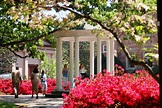 File:The "Old Well", center of campus, University of North Carolina ...