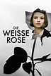 The White Rose (1982) - Posters — The Movie Database (TMDB)