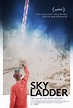 Sky Ladder: the Art of Cai Guo-Qiang | Film Review | Tiny Mix Tapes