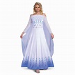 Womens Frozen 2 Snow Queen Elsa Prestige Adult Costume Small size 4-6 ...