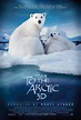 Osos polares 3D: Ojos en el hielo (2012) - FilmAffinity