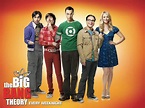 Ver Big Bang Theory Online Espanol Temporada 1 - videolansta