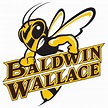 Baldwin Wallace University Yellow Jackets Color Codes Hex, RGB, and ...
