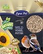 Lyra Pet® | 25 kg Sonnenblumenkerne Geschält | Wildvogelfutter ...