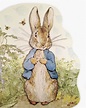 peter rabbit 2 - Beatrix Potter Photo (41666874) - Fanpop