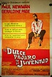 "DULCE PAJARO DE JUVENTUD" MOVIE POSTER - "SWEET BIRD OF YOUTH" MOVIE ...