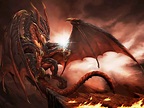 Fire Dragon Wallpapers - Top Free Fire Dragon Backgrounds - WallpaperAccess