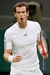 Andy Murray's third round at Wimbledon - Daily Record