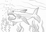 Tiburón megalodón para imprimir y colorear o descargar gratis