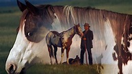 Hidalgo - War Horse Trailer - YouTube