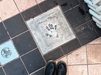 How to Visit the Cannes Walk Of Fame (Chemin des Étoiles)
