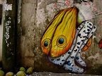 Street Art By Calango - Salvador (Brazil) | Best street art, Street art ...