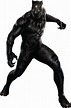 Black Panther PNG Transparent Black Panther.PNG Images. | PlusPNG