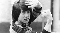 Jackie Chan | Todas las Artes Marciales