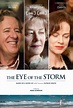 El foco de la tempestad (2011) Película - PLAY Cine