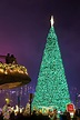 聖誕樹2022｜9大巨型聖誕樹打卡！香港西九文化區聖誕小鎮/星街