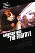 El fugitivo (1993) - FilmAffinity