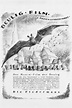 Die Fledermaus (1923) — The Movie Database (TMDB)