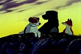 La plaga de perros: película obligada para los amantes de la animación ...