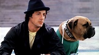 ‎Rocky II (1979) directed by Sylvester Stallone • Reviews, film + cast ...