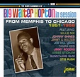 The Blues Harmonica Of Big Walter Horton In Session 1951-1956: Amazon ...
