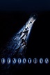 Leviathan: El demonio del abismo ( 1989 ) - Fotos, carteles y fondos de ...