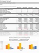 Profitability Analysis Excel - Business Insights Group AG