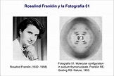 Rosalind Franklin: La historia de la fotografía que cambió la biología ...