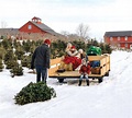 Best Christmas Tree Farms In Ct - Christmas Lights 2021