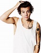 Harry Styles PNG Image | PNG Arts