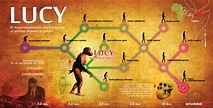 ¿Quién es Lucy, la australopiteco? | Conocer Ciencia