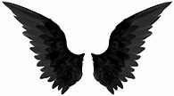 Wings PNG Transparent Images - PNG All