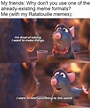 35 Funniest Ratatouille Memes To Cook Up A Smile – FandomSpot