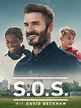 Poster S.O.S. Beckham - Affiche 1 sur 7 - AlloCiné